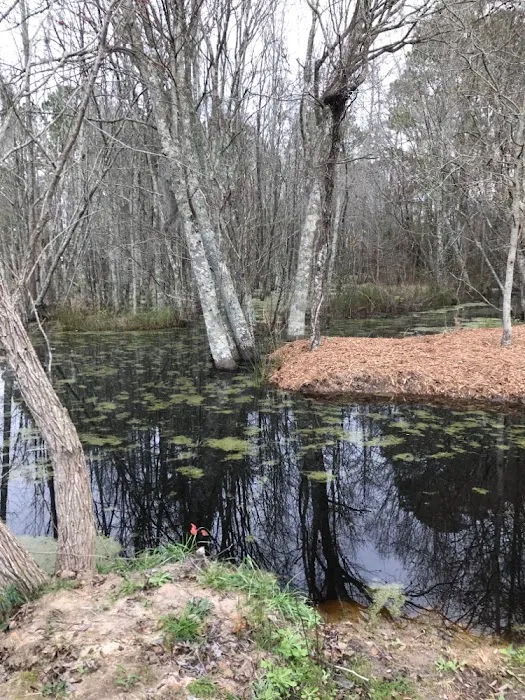 Stagger Lee Music & RV Park Picture 5