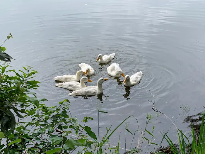 Tifton KOA Journey Picture 8