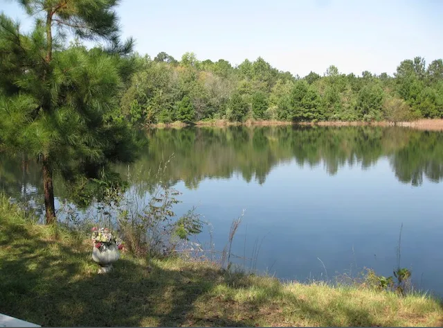 Tifton RV Park I-75 Picture 3