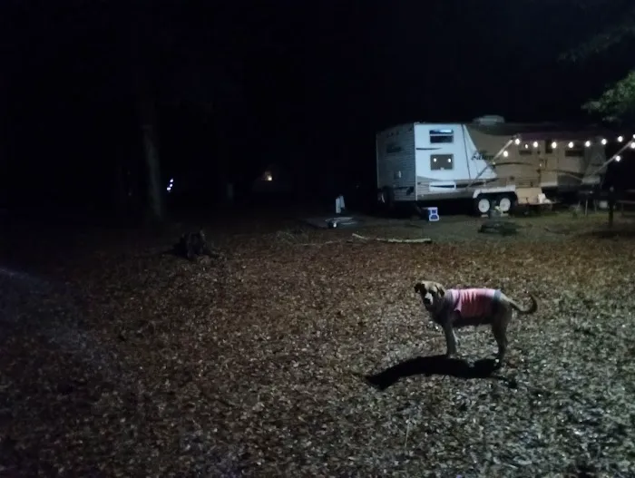 Buck Creek Campground Picture 4