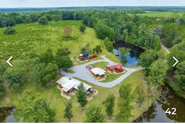 Tranquility Gardens Picture 7