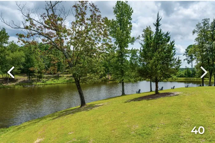 Tranquility Gardens Picture 8