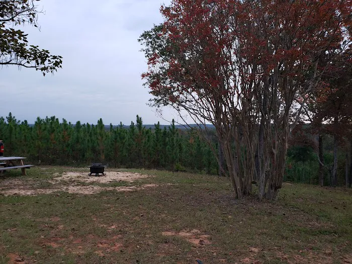 Hidden Springs Campground Picture 4