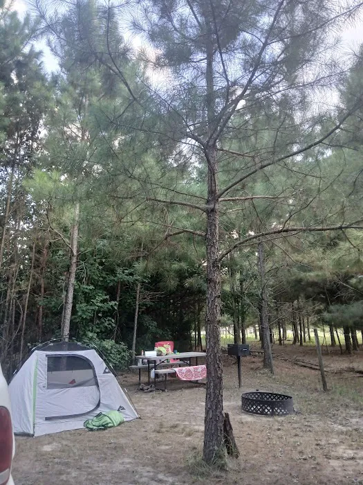 Piney Hills Campground Picture 9