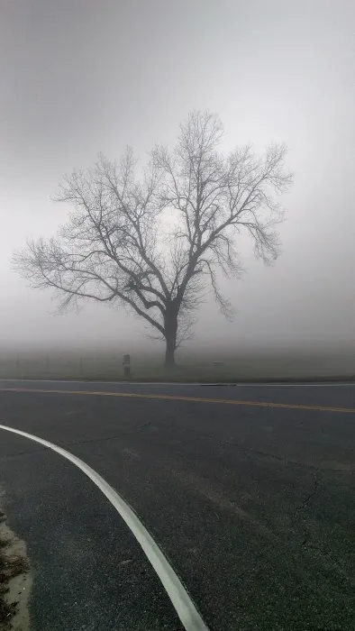 CreekSide RV Park & Campground Picture 3