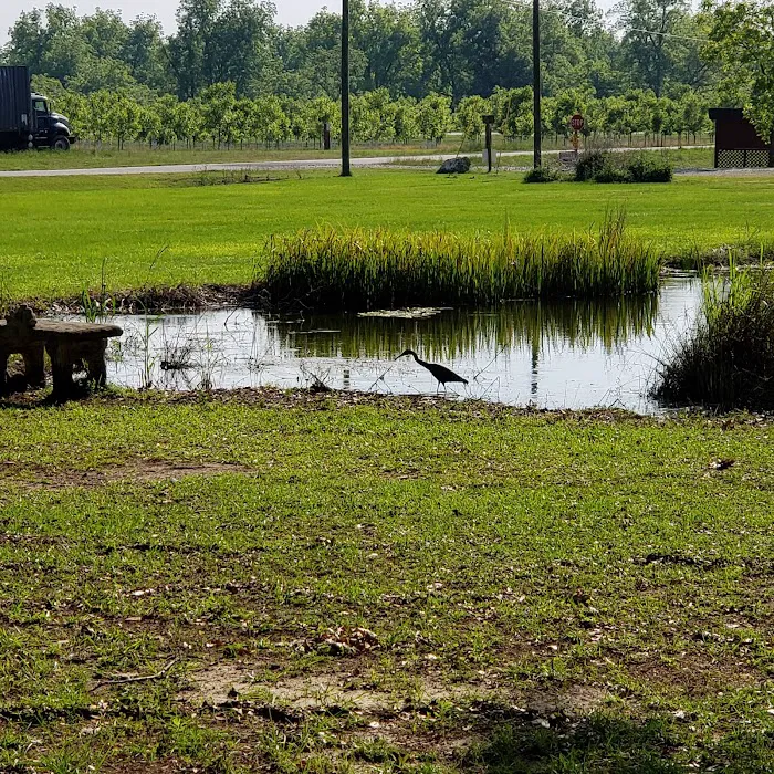 CreekSide RV Park & Campground Picture 8