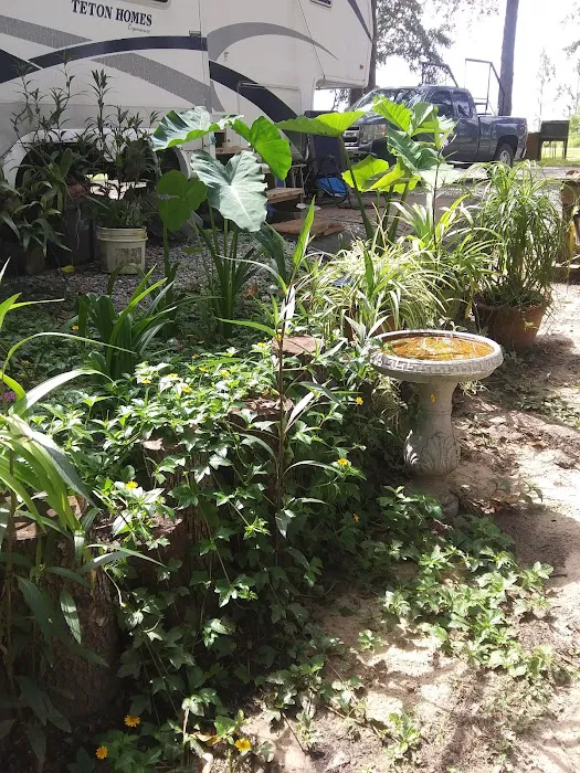 CreekSide RV Park & Campground Picture 6