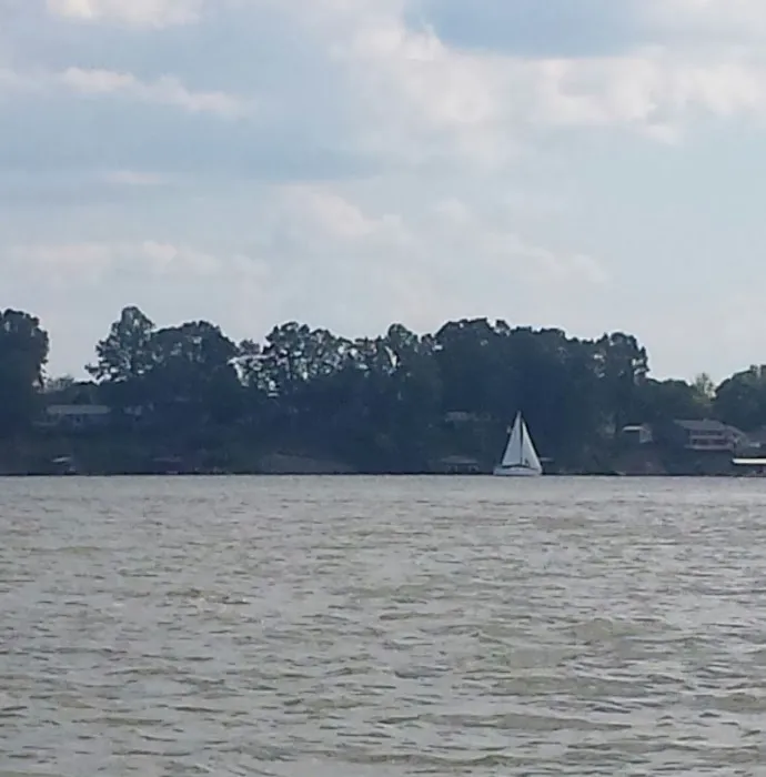 Bay Springs Campground Picture 7