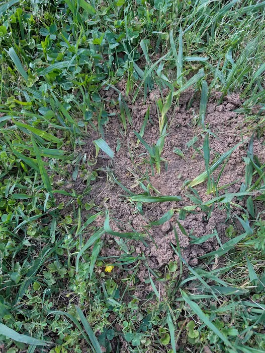 Legends Lane Campground Picture 9