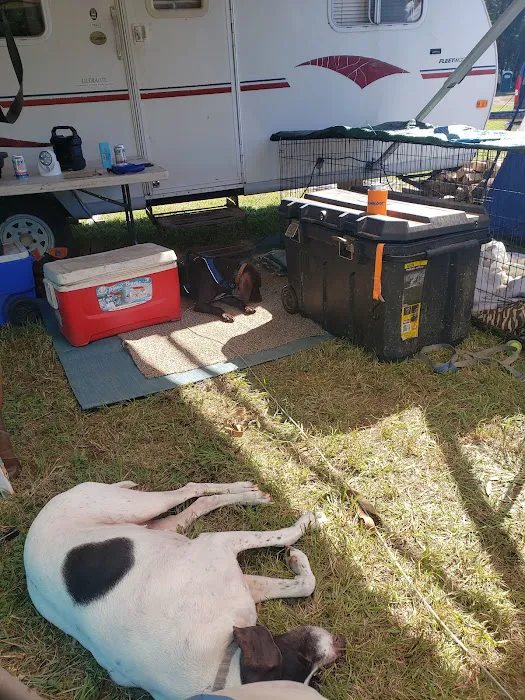 C & C Camping Picture 8