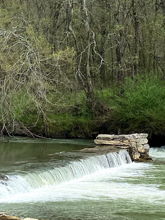 Gadsden Campground & Tubing Picture 10