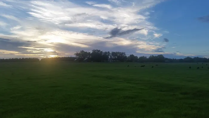 Gullatte Acres Picture 3