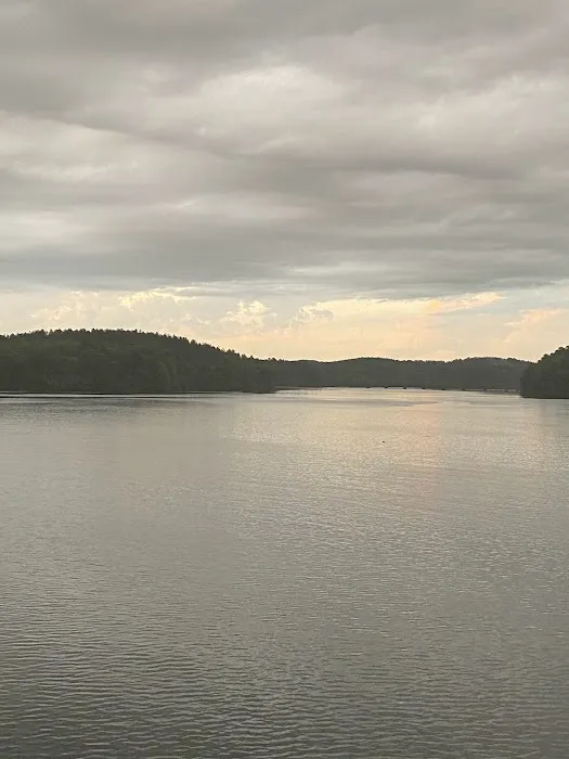 Vibro Rental Picture 2