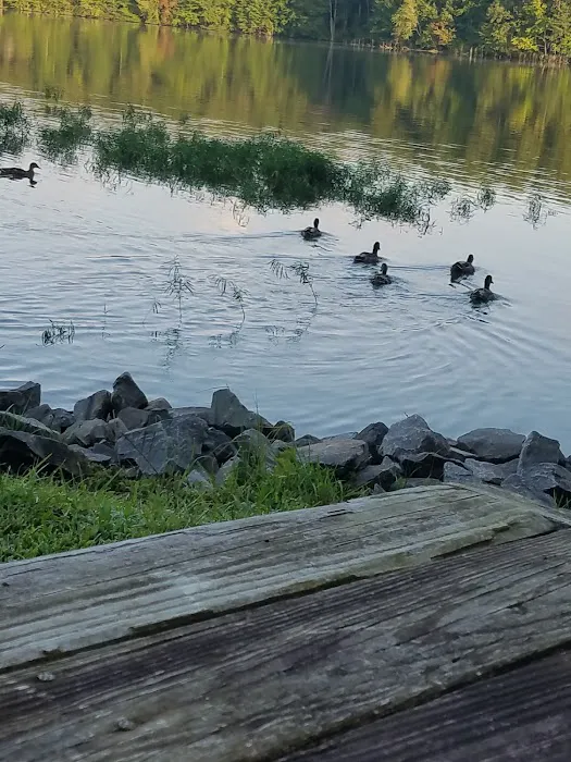 Dekalb County Public Lake Picture 7