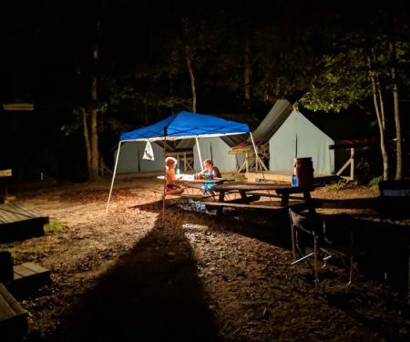 Campsite 8 (Mountain Lion)