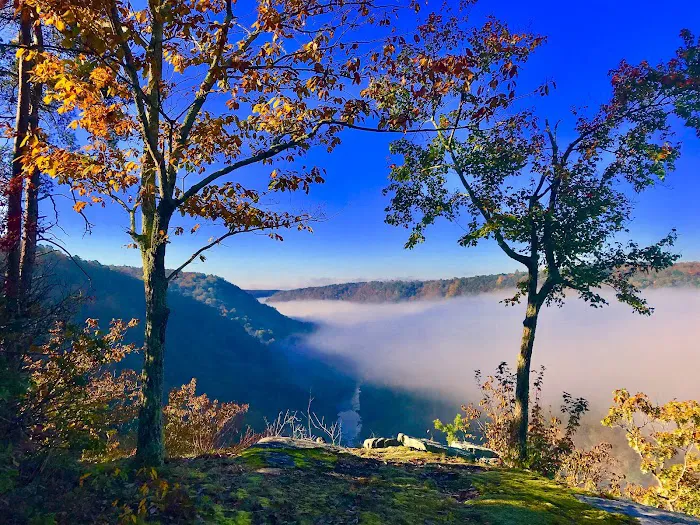 Hammock Pointe Picture 4