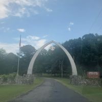 Campsite 10 (Panther) ico
