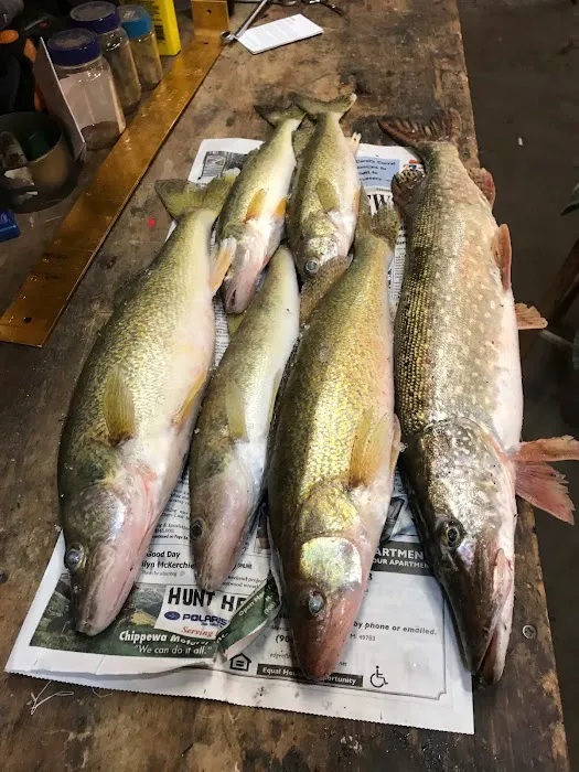 Dan's Resort Picture 5