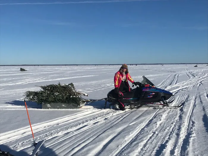 Dan's Resort Picture 9