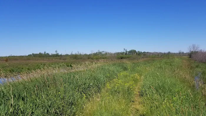 Munuscong State Forest Campgrounds Picture 3