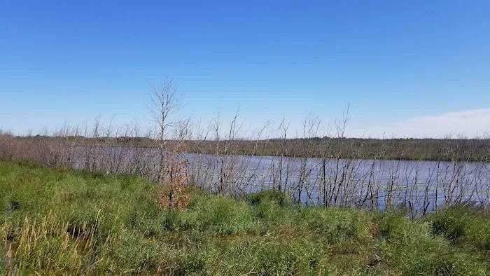 Munuscong State Forest Campgrounds Picture 2