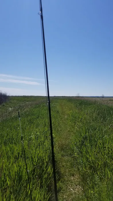 Munuscong State Forest Campgrounds Picture 1