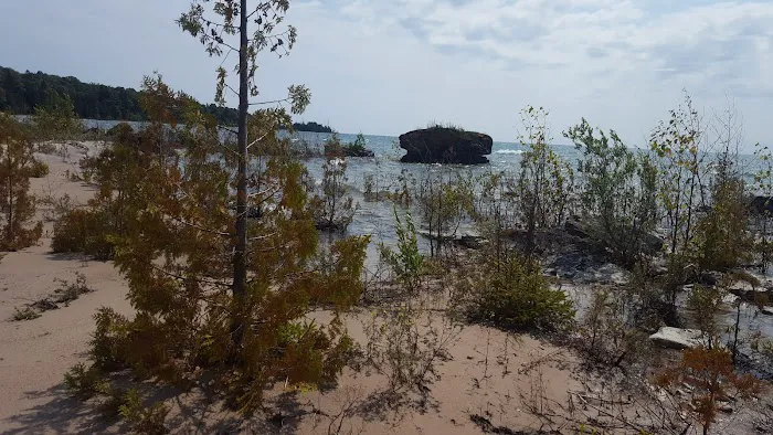 DeTour State Forest Campground Picture 5