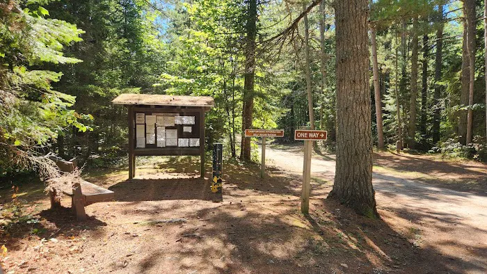 DeTour State Forest Campground Picture 6