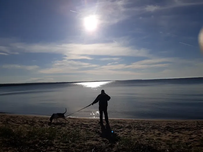 DeTour State Forest Campground Picture 9