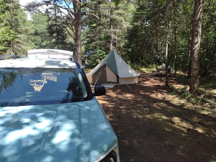 DeTour State Forest Campground Picture 8