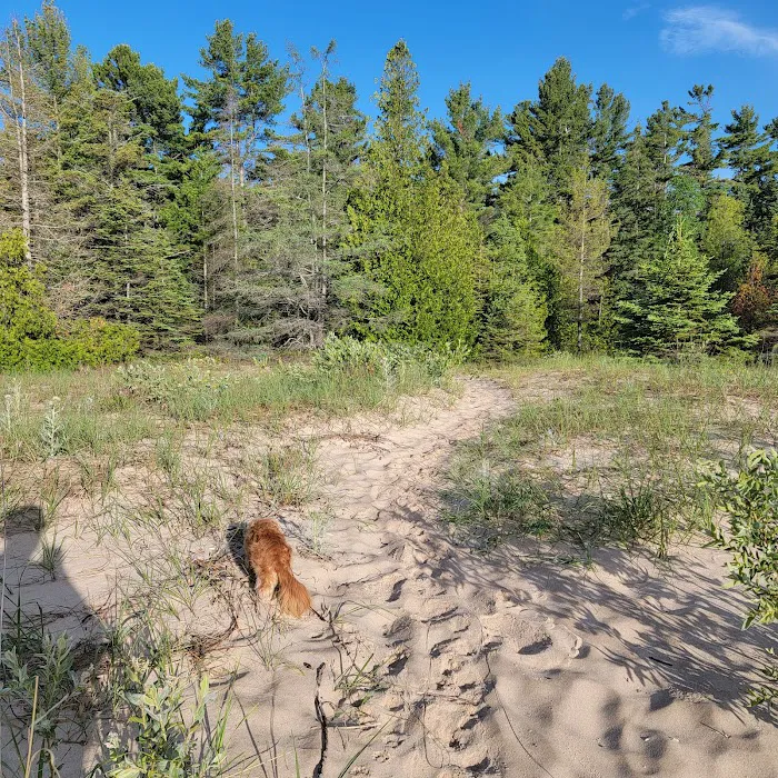 DeTour State Forest Campground Picture 10