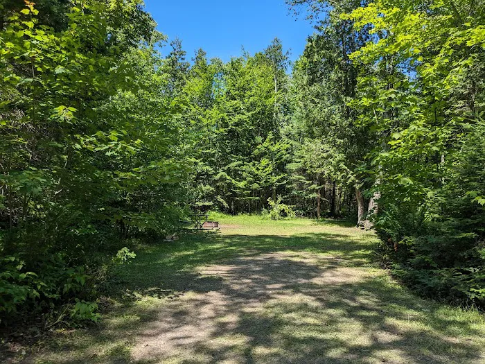Little Brevort Lake - North State Forest Campground Picture 4