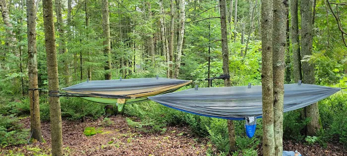 Little Brevort Lake - North State Forest Campground Picture 10
