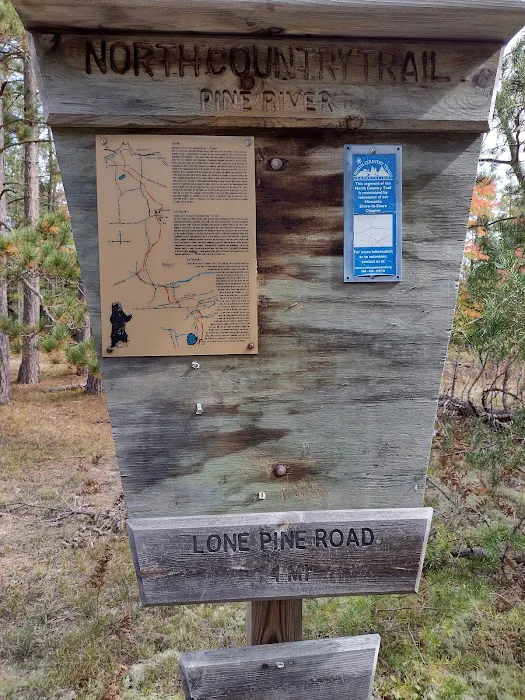 Pine River Primitive Campground Picture 1