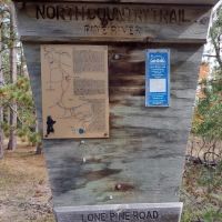 Pine River Primitive Campground ico