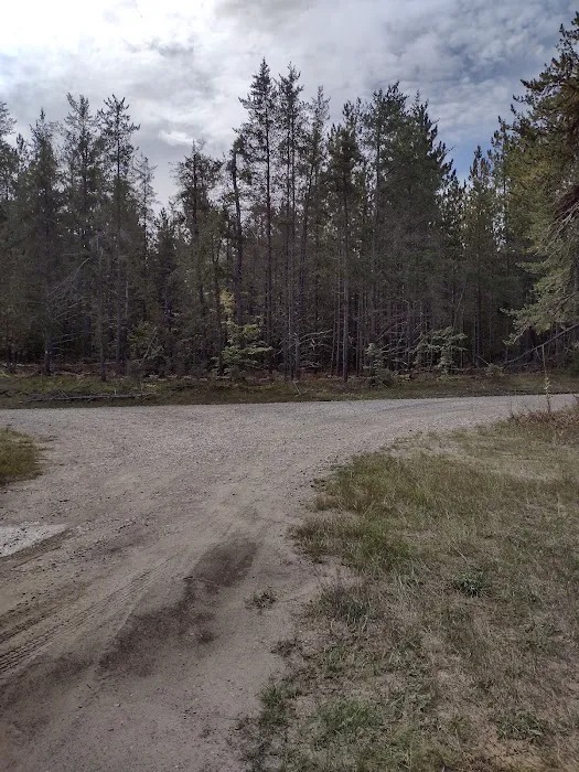 Pine River Primitive Campground Picture 5