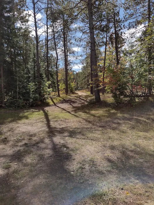 Pine River Primitive Campground Picture 6
