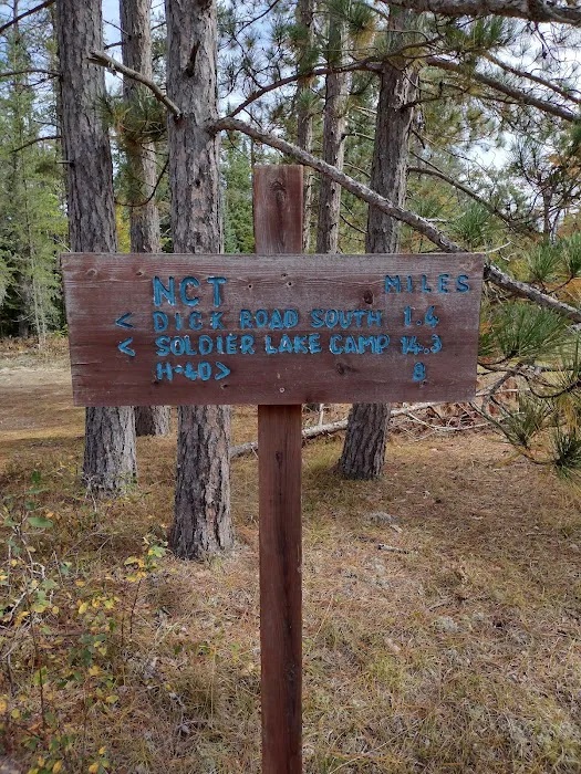 Pine River Primitive Campground Picture 8