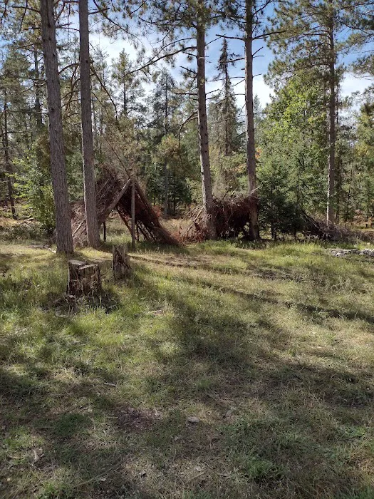 Pine River Primitive Campground Picture 9