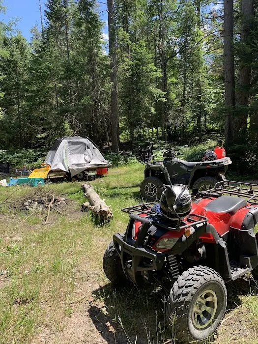 Pine River Primitive Campground Picture 2