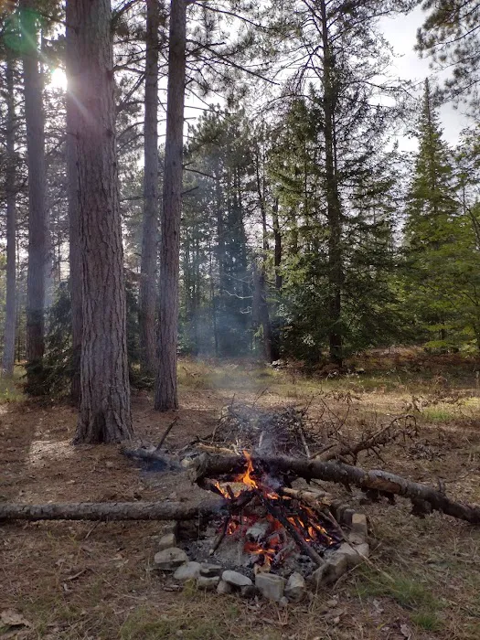 Pine River Primitive Campground Picture 4