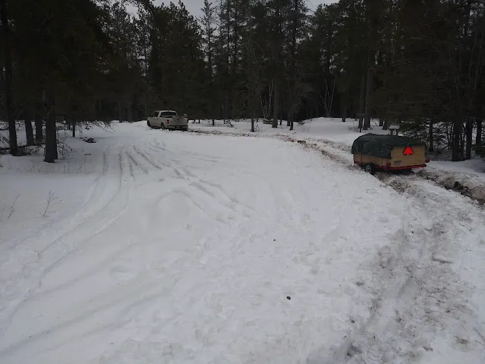 Pine River Primitive Campground Picture 10