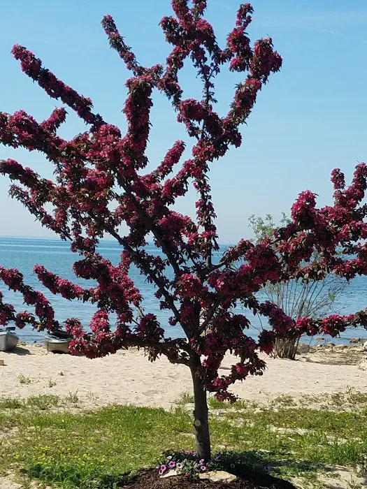 Peppermint Shores Campground Picture 4