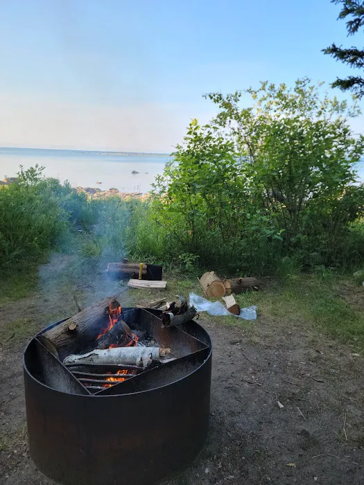 Hog Island State Forest Campground Picture 5