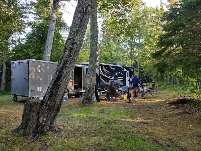 Hog Island State Forest Campground Picture 7