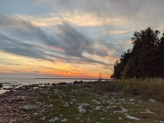 Hog Island State Forest Campground Picture 4