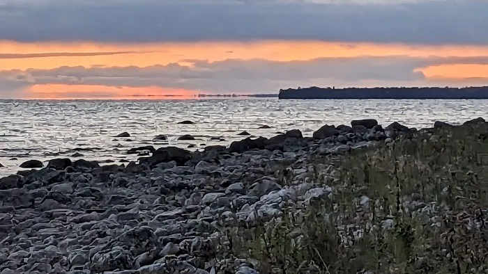 Hog Island State Forest Campground Picture 6