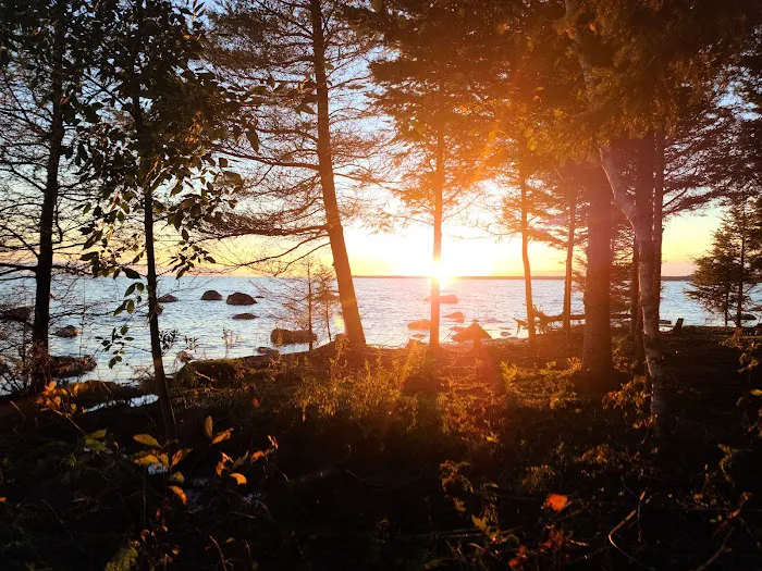 Hog Island State Forest Campground Picture 9