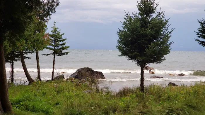 Hog Island State Forest Campground Picture 8