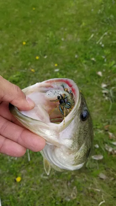 Leisure Lake Campgrounds Picture 2